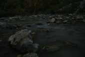 resized_IMG_1183.jpg